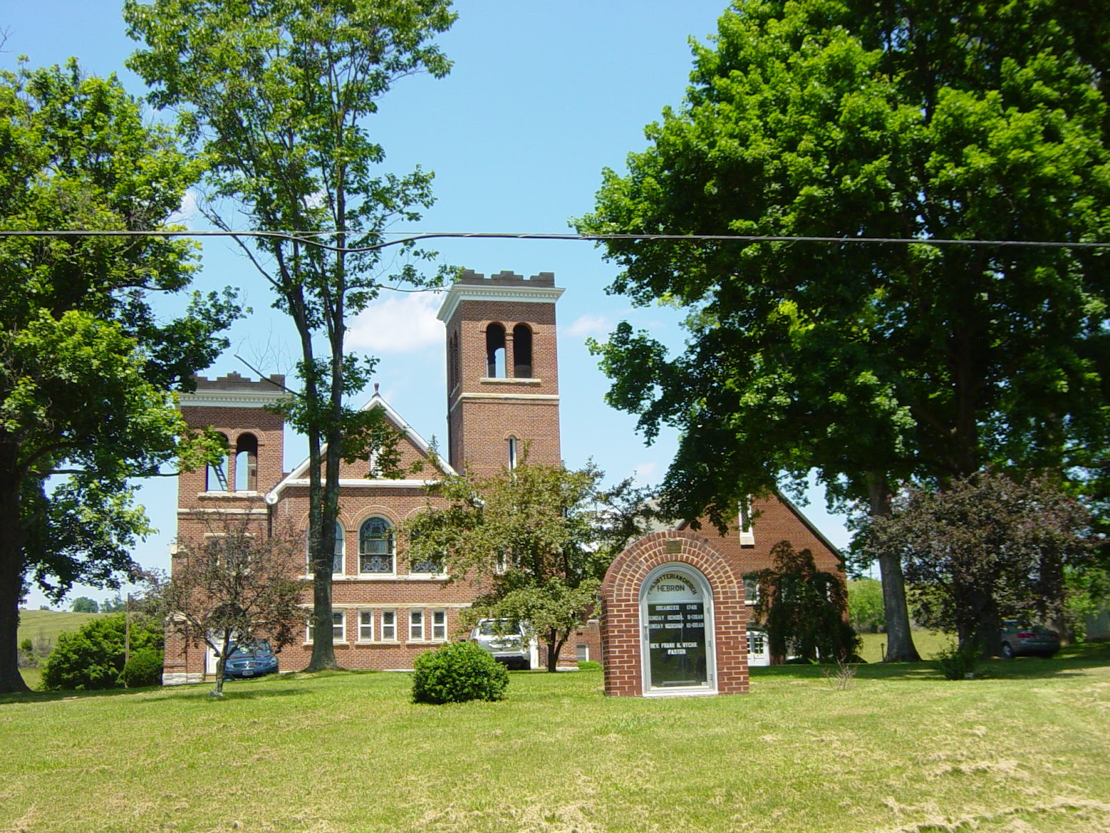 Trees, Leaves, Roots, & Shoots