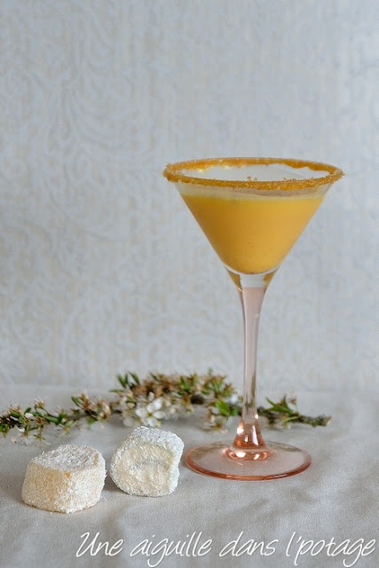 Cocktail vodka-abricot 