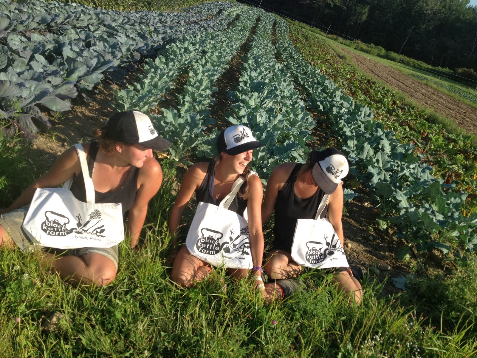 black kettle farm Staff