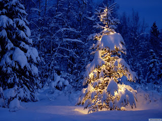 Merry Christmas, Happy Holidays, Christmas, Joy, love, fun, Christmas season, logo, happy,  Season Greetings, Feliz Navidad