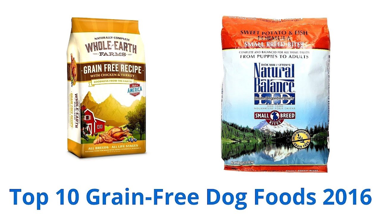 10 Best Dog Food Dog Choices