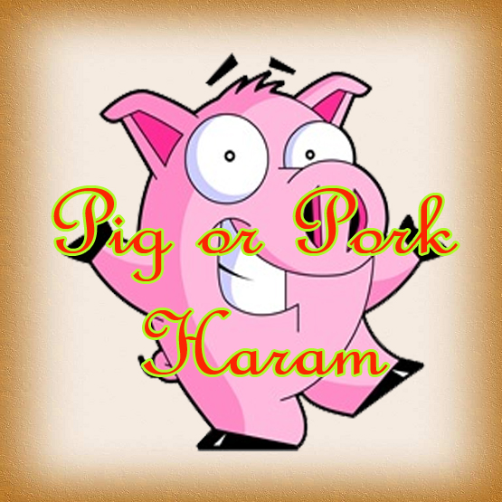 Islam Truth Halal&Haram