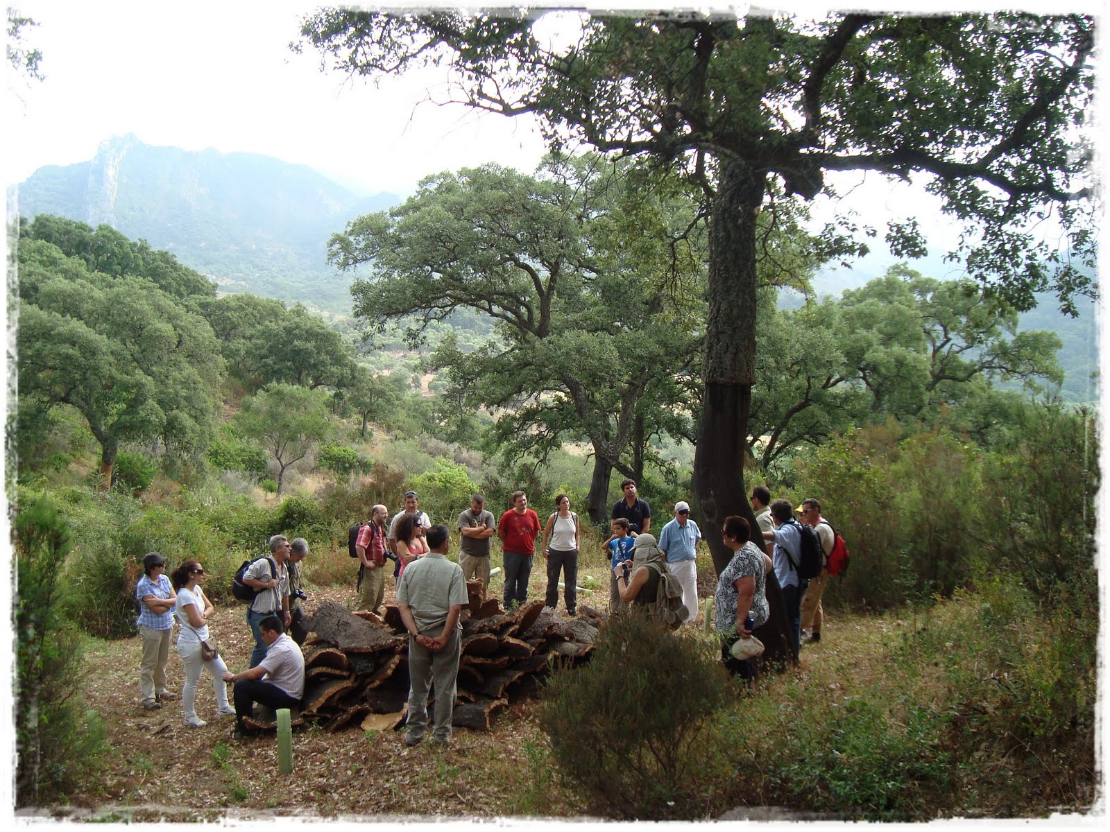 cv_elaljibe: Jornada de encuentro en el Parque Natural Los Alcornocales