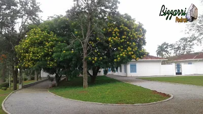 Piso de pedra com pedrisco cinza, com as guias de pedra em estrada da sede da fazenda em Atibaia-SP com o gramado com grama batatais e grama amendoim.