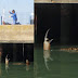 Cangrejo gigante en playa de Reino Unido