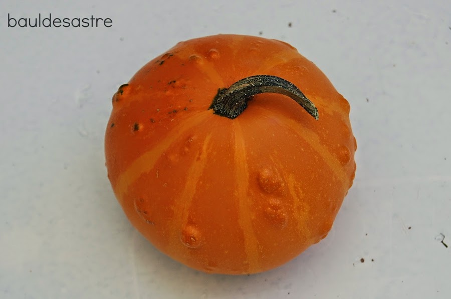 diy calabaza