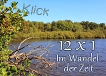 http://staedtischlaendlichnatuerlich.blogspot.com/2019/03/im-wandel-der-zeit-12-x-1-motivmarz-2019.html