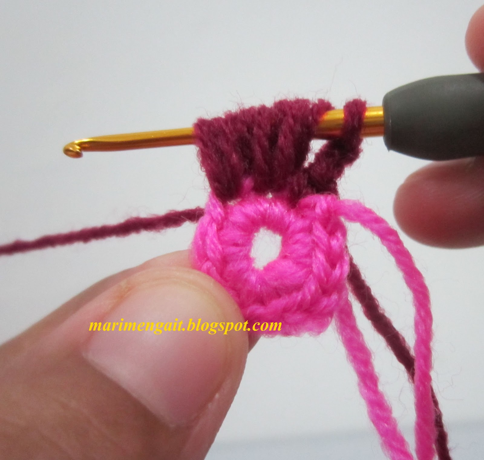 PROJEK 2 : MENGAIT BUNGA BERKELOPAK (PETAL PUFF) ~ Mari Belajar Mengait....