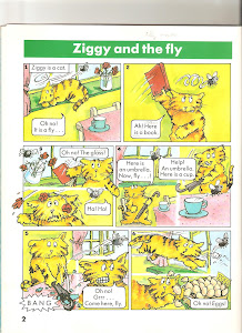 Ziggy and the fly
