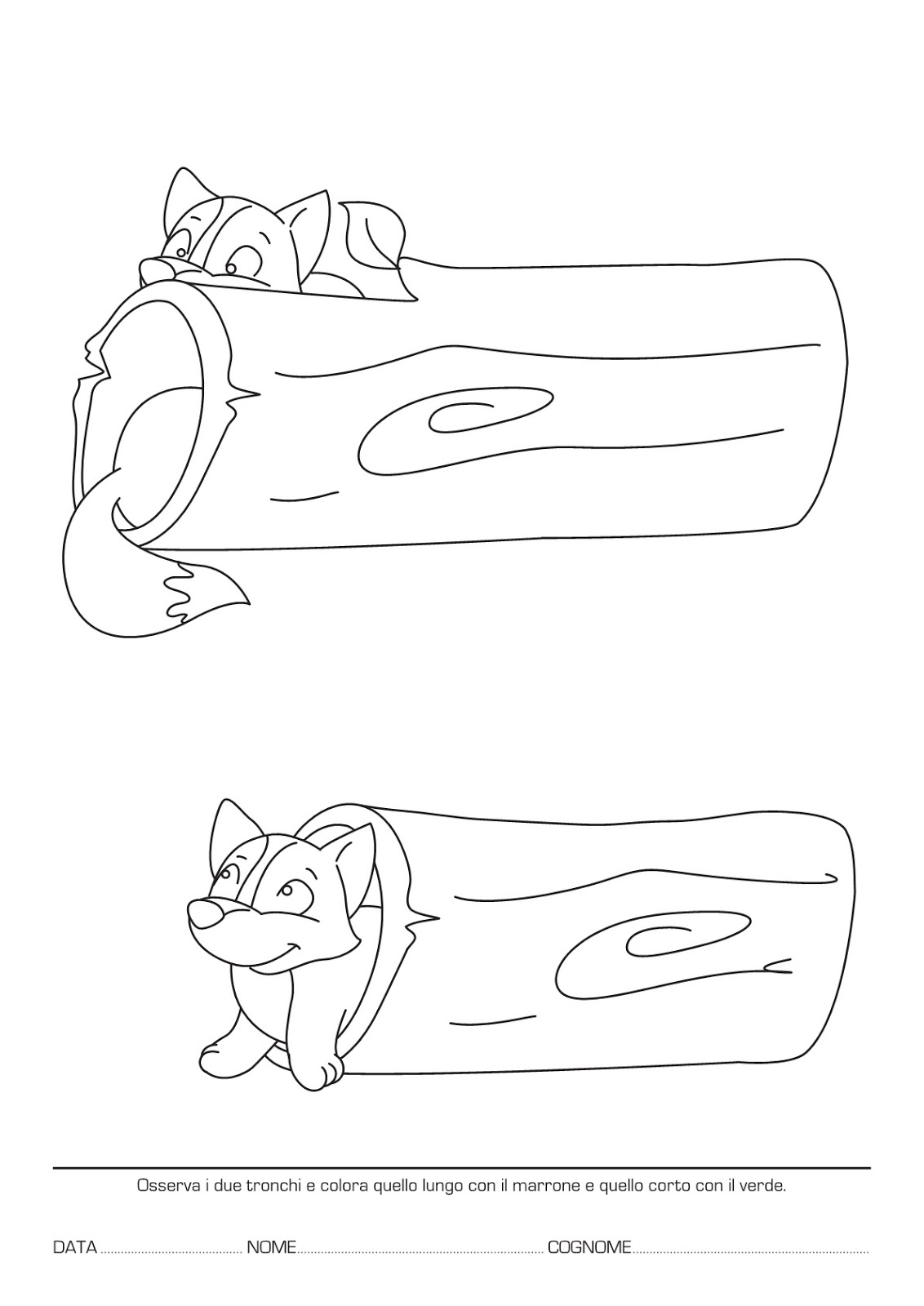 La maestra Linda Concetti Topologici