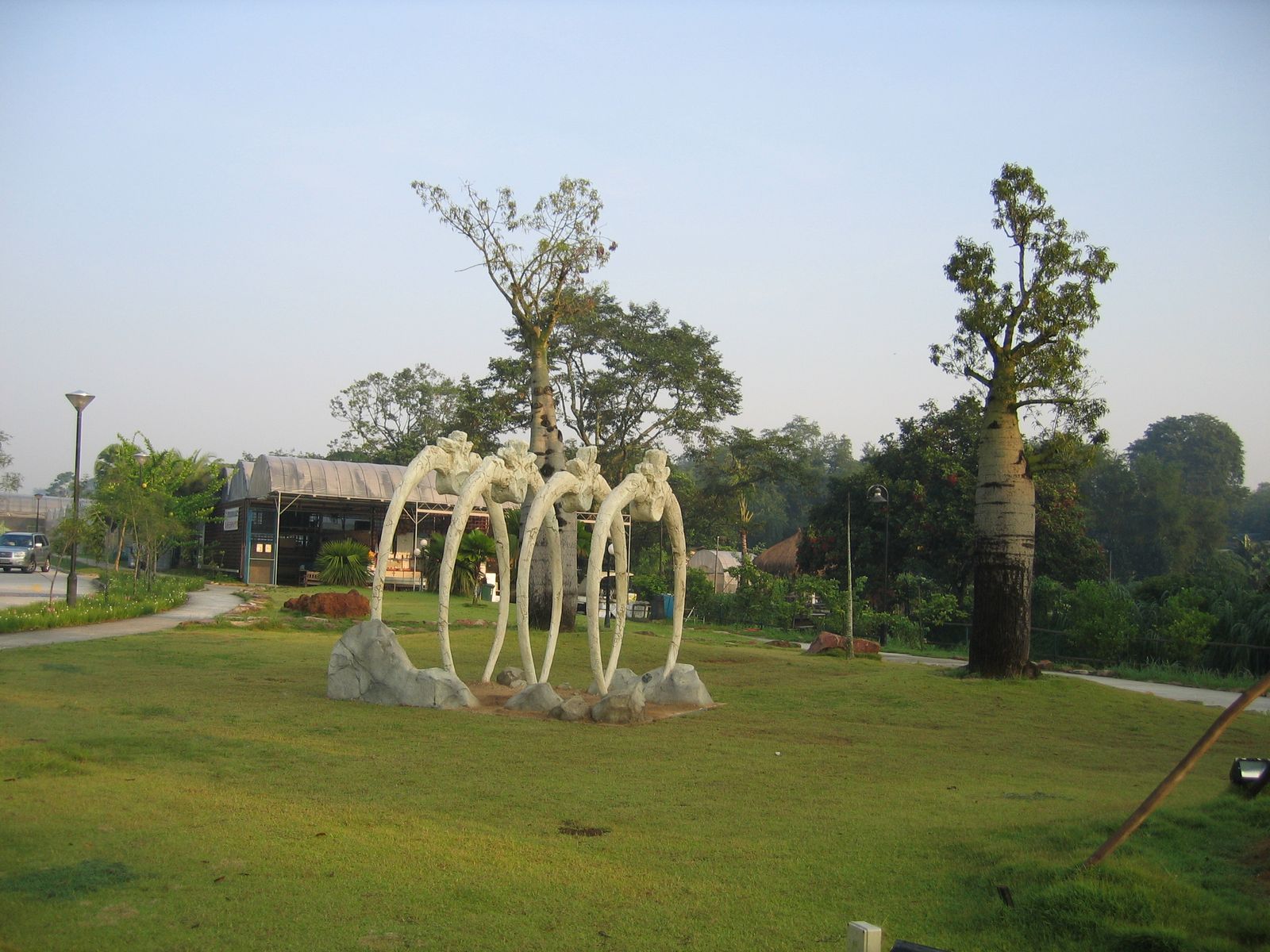 Fly Fishing Journal Yishun Bottle Tree Park
