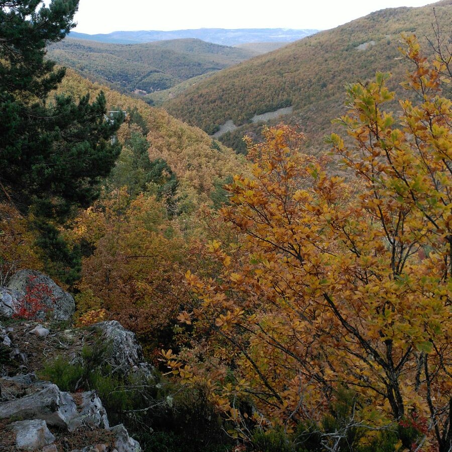 ALTUNATUR PARQUE NATURAL DE SIERRA CEBOLLERA, La Rioja ALTUNATUR PARQUE NATURAL DE SIERRA CEBOLLERA, La Rioja