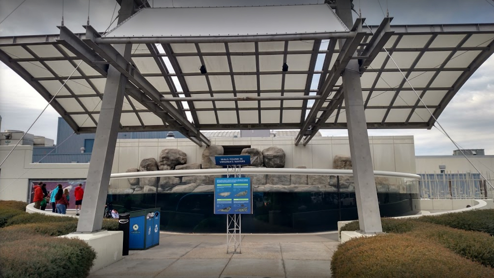Virginia Beach Aquarium Wedding Venues Virginia Beach Aquarium Wedding Venues
