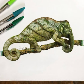 10-Chameleon-Elephant-Quanyu-www-designstack-co