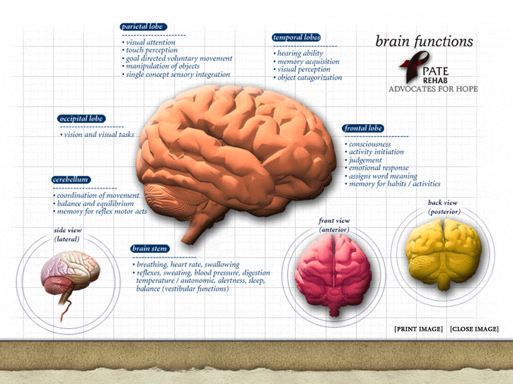 MINDTECH MULTIPLE INTELLIGENCE @ SAFAL JEEVAN