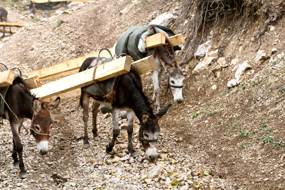 BLOG-MODE-HOMME-guide-voyage-kirghizistan-kygyzstan-travel_conseil-sary-chelek-lac-lake