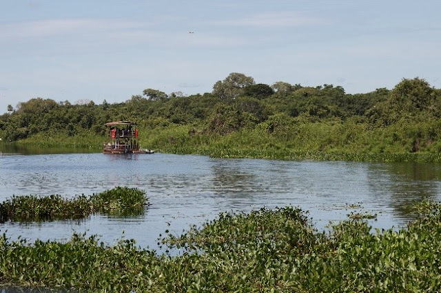 Chalana com pescaria de Piranhas Pantanal