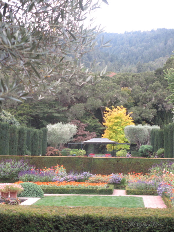 Fall Gardens at Filoli- www.gildedbloom.com Fall Gardens at Filoli- www.gildedbloom.com