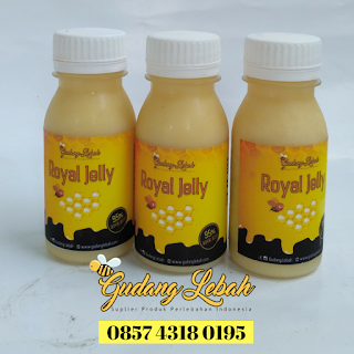 jual promil, promil royal jelly, promil murah, cara cepat hamil, agar cepat hamil, tips cepat hamil, promil royal jelly murah, harga promil royal jelly,