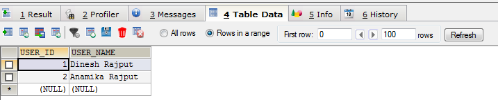 Retrieving Objects in Hibernate using session.get