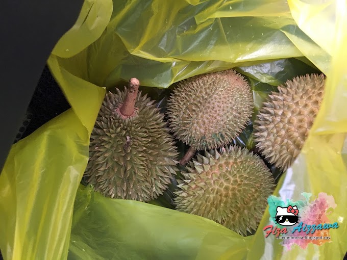 Rasa Durian Musang King memang berbeza daripada durian lain