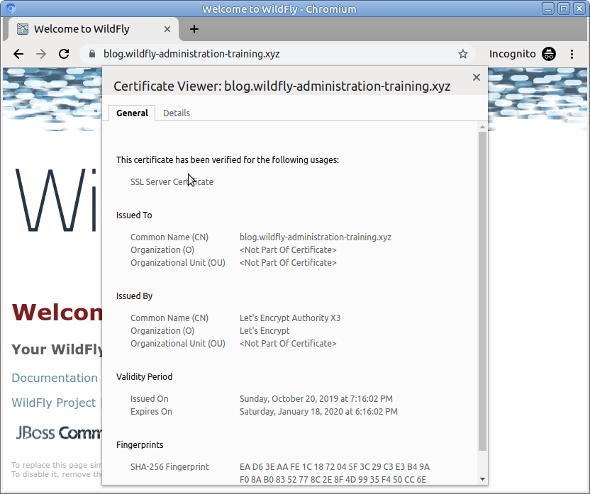 Simple TLS certificates in WildFly 18