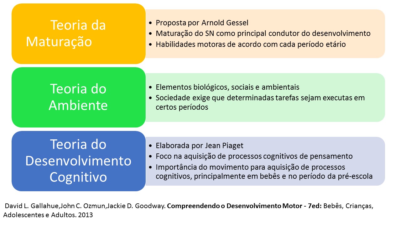 Teoria do desenvolvimento modelo psicanalitico essay picture