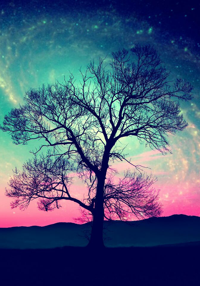 80 melhores imagens para colocar na tela de bloqueio do seu smartphone