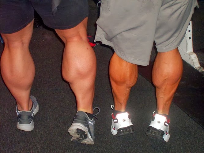 Biggest Calves in the World Bodybuilding and Fitness Zone