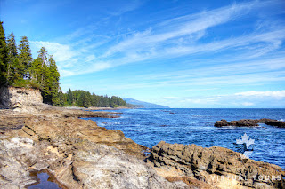 Botanical Beach Provincial Park Port Renfrew Vancouver Island