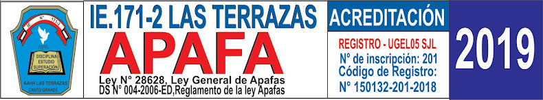 APAFA IE 171-2 LAS TERRAZAS