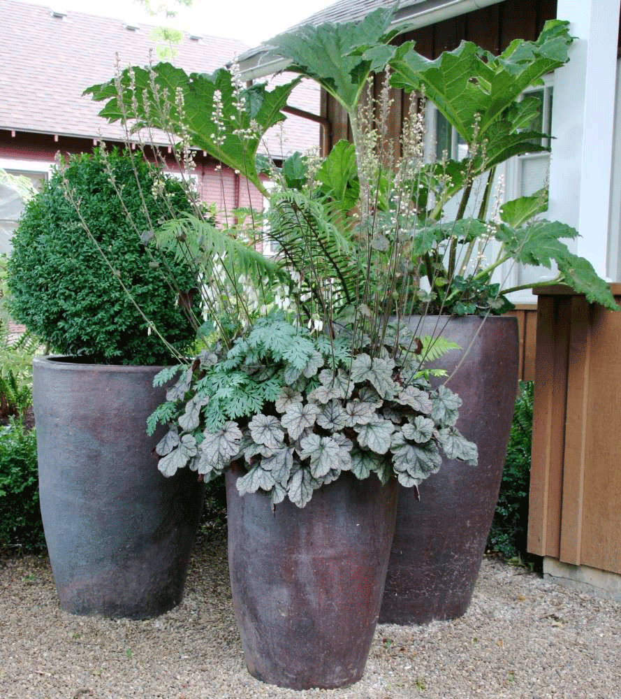 grounded designthomas rainer: the one plant pot