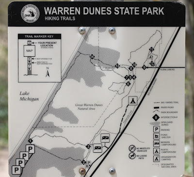 Kalamazoo Seasons: Wildflowers at Warren Dunes