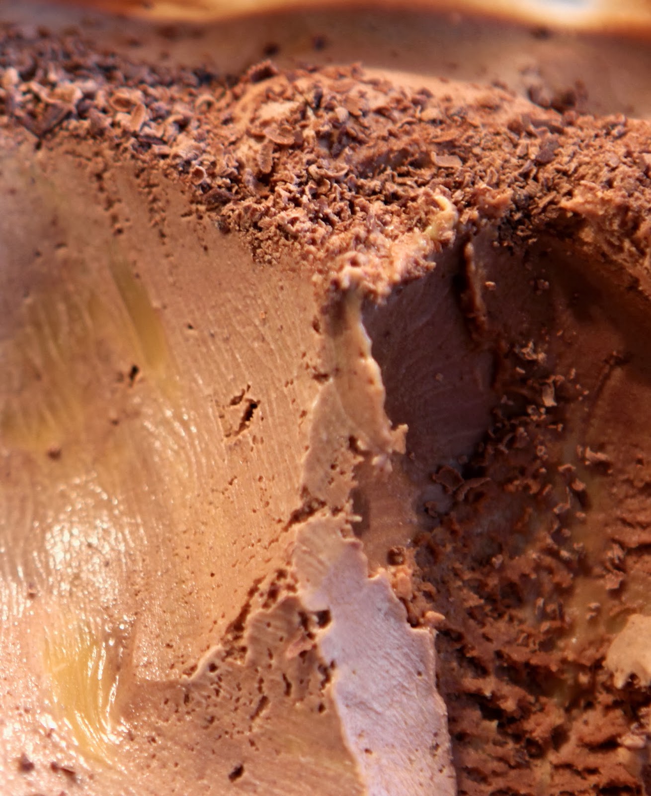 Gluten Free Alchemist ChocolateCaramel Ice Cream