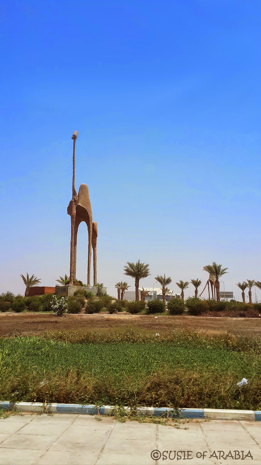 Jeddah Daily Photo Jeddah Camel Sculpture