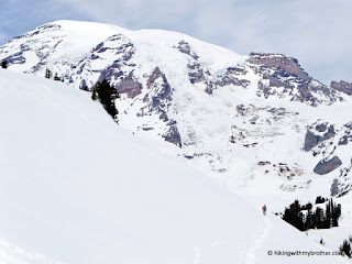 paradise glacier vista hikingwithmybrother