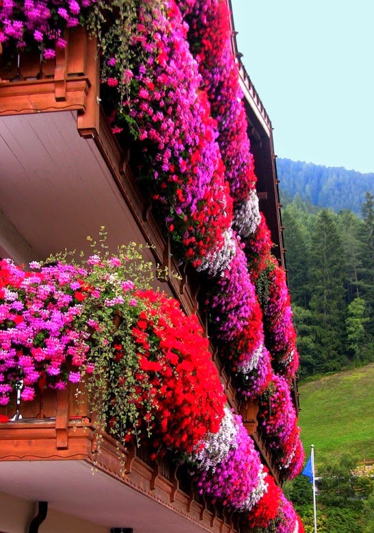 Curiosidades del Mundo: 06/10/14