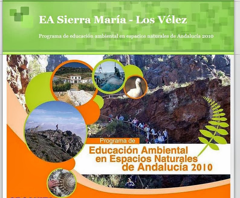 PROGRAMA EDUCACION AMBIENTAL