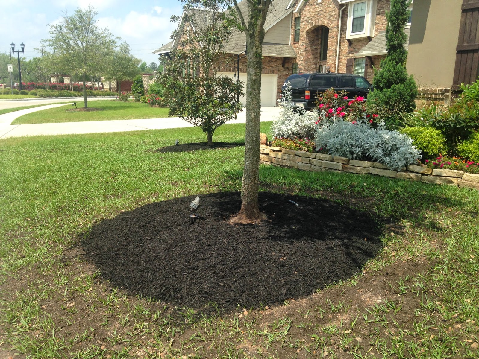 Golden Rule Soil Management Solutions Getting Rid of Volcano Mulch Mounds