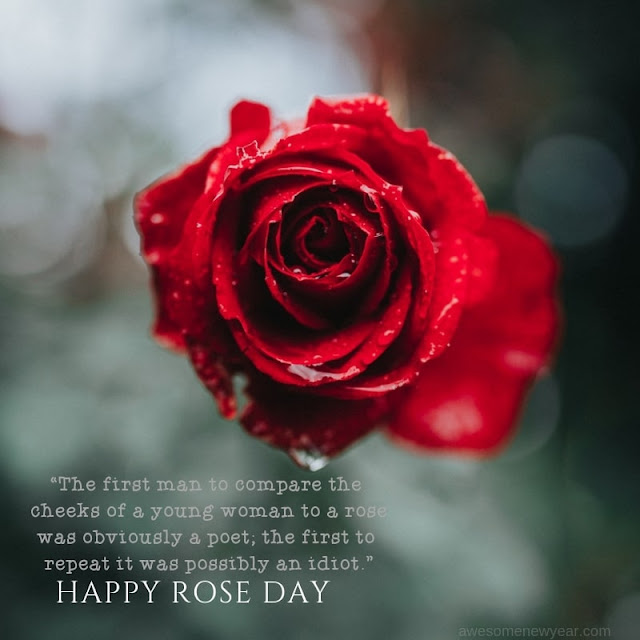 Rose Day 2019 Quotes