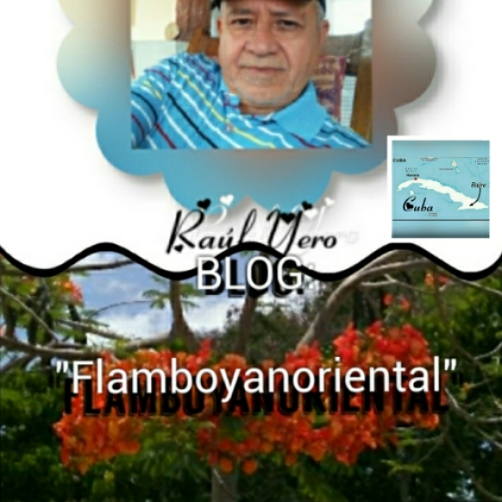 Blog:"Flamboyanoriental"