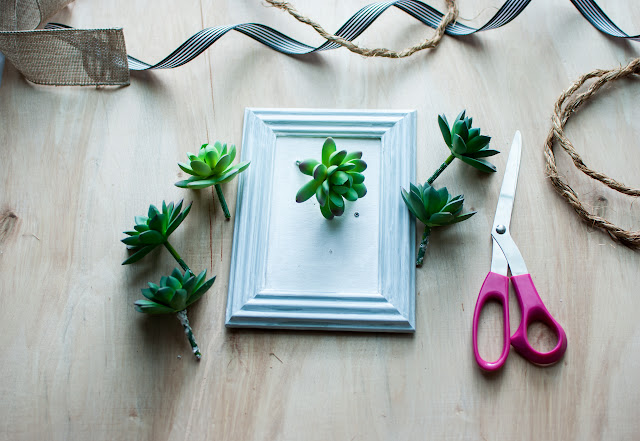 How to Make Framed Succulents With Dollar Store Supplies