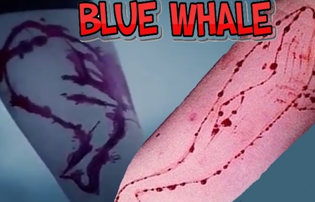 Το διαδικτυακό φαινόμενο «Blue Whale Challenge» (Μπλε Φάλαινα)