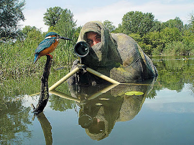 Fotógrafo timando un pájaro en el lago. 