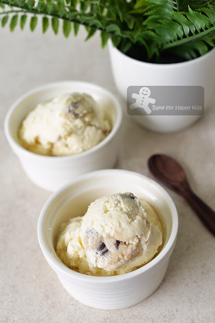 ben and jerry's chocolate chip cookie dough ice cream no egg