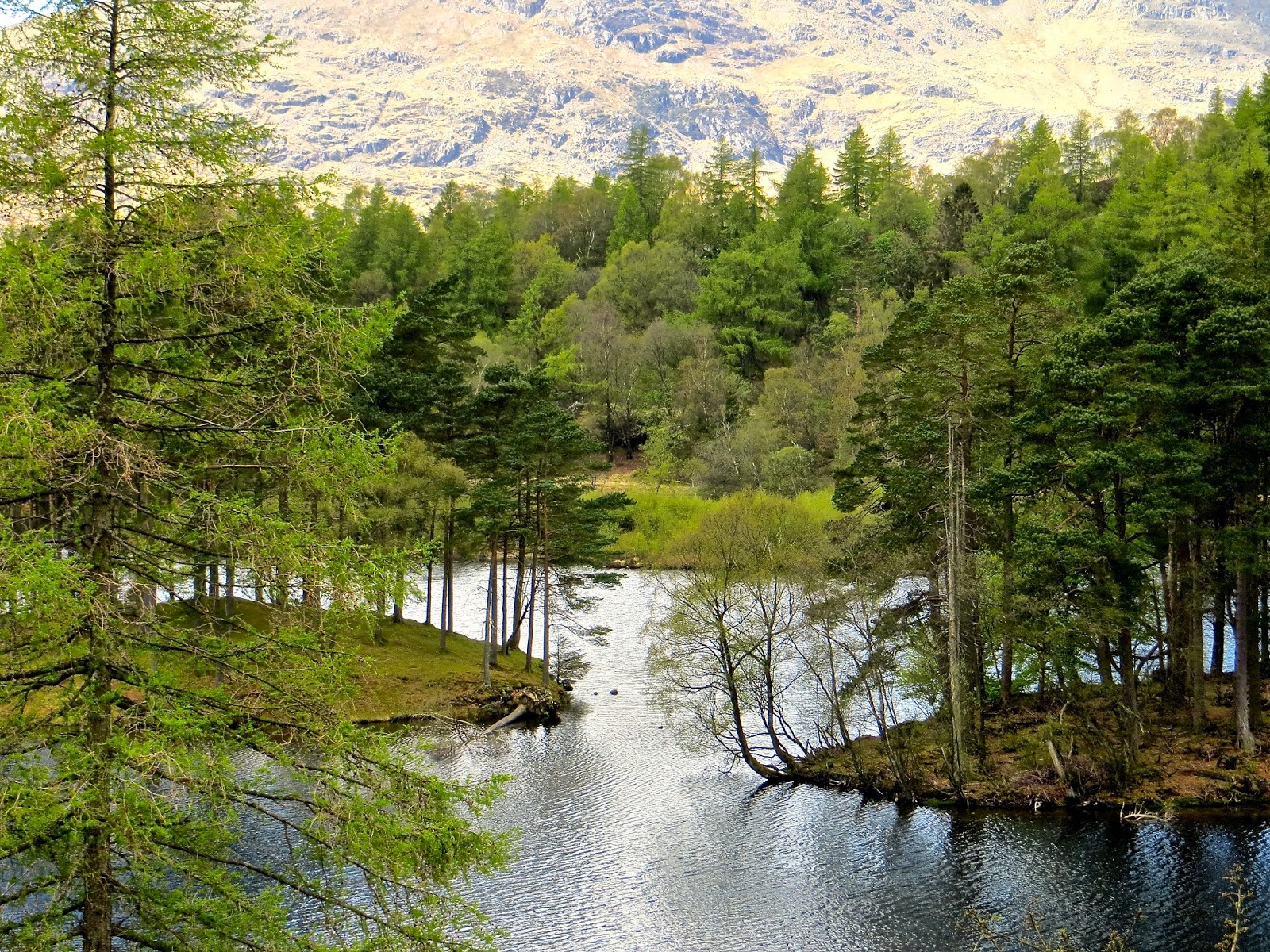 Curiouser and Curiouser Fifty Shades of Green The Lake District in Spring