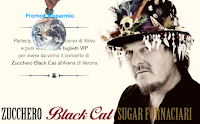 Vinci gratis concerto Zucchero all'Arena di Verona e cofanetti CD autografati Logo Vinci gratis concerto Zucchero all'Arena di Verona e cofanetti CD autografati