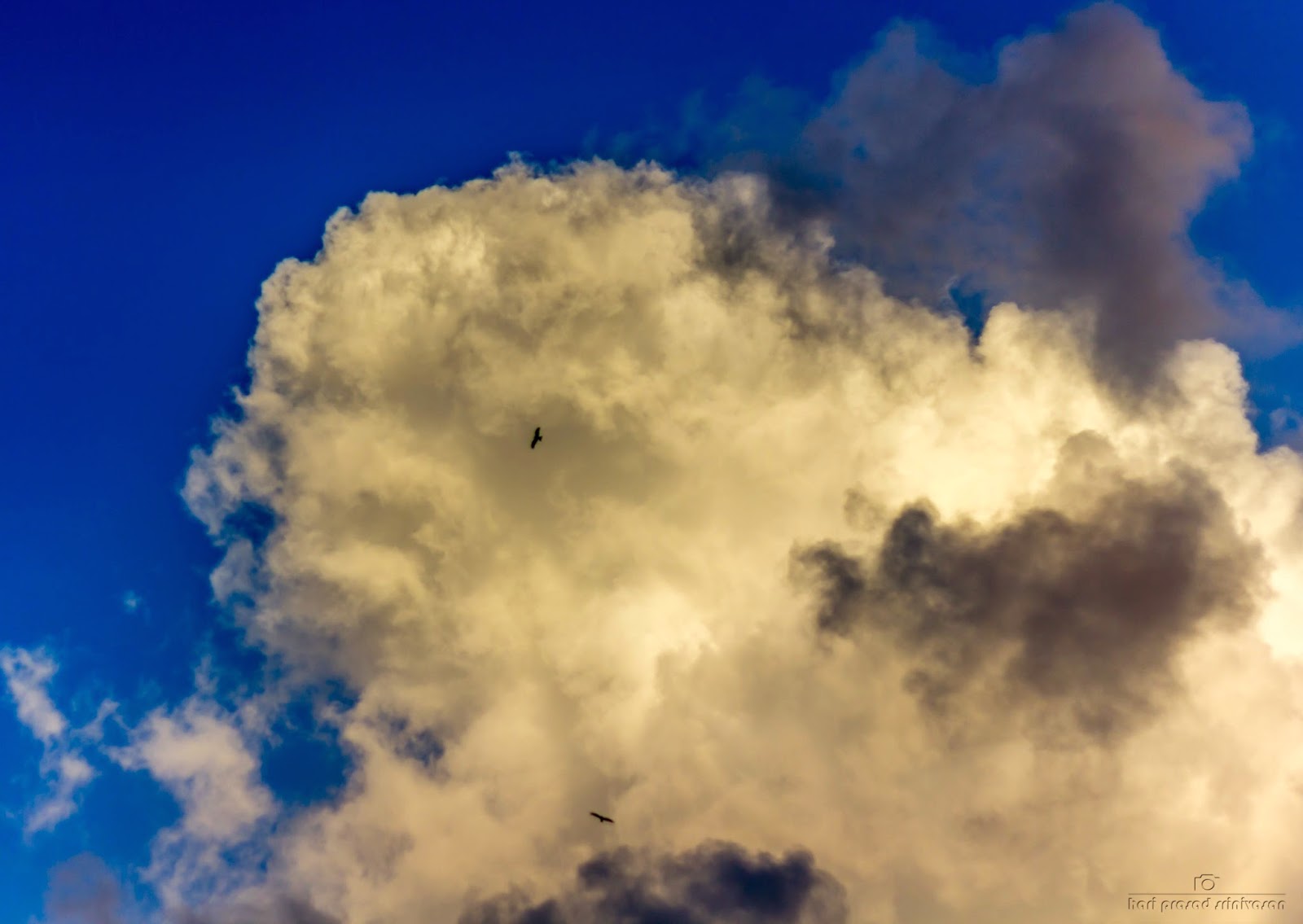 Cloud formation with a flying eagle
