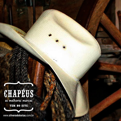 botas e chapéus country