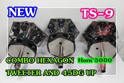 COMBO HEXAGON HORN TWEETER AND 45DG UP